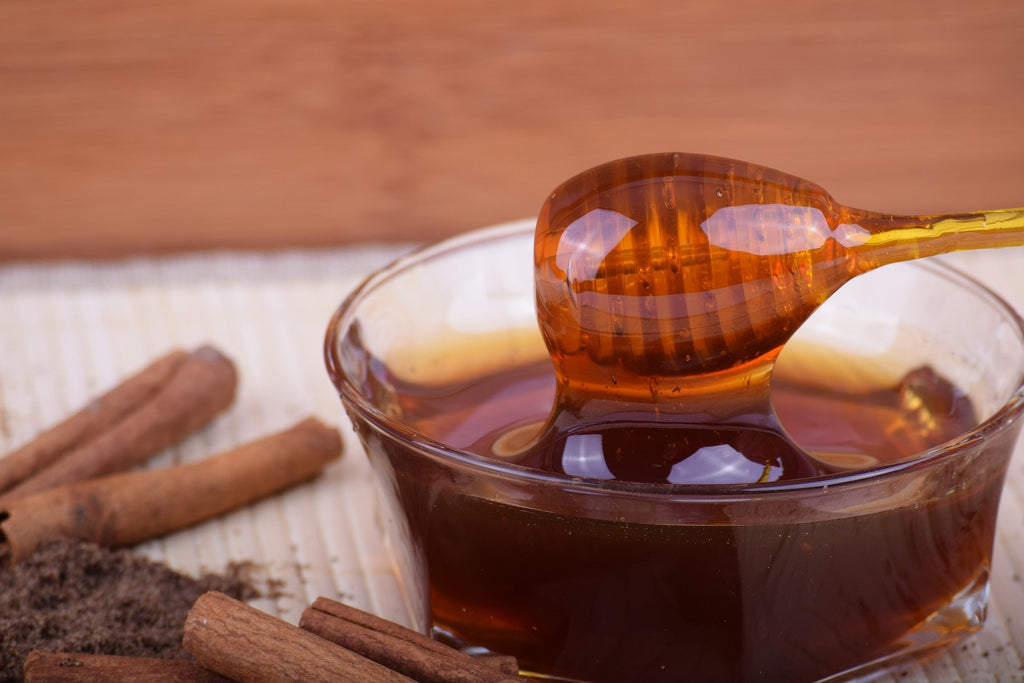 The Medicine of the Prophet: Introduction